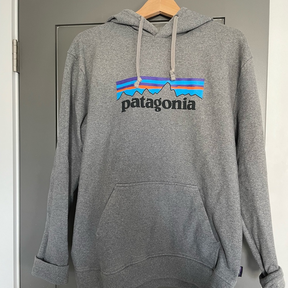 patagonia hoodie